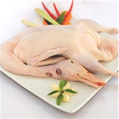 Vịt tươi nguyên con
